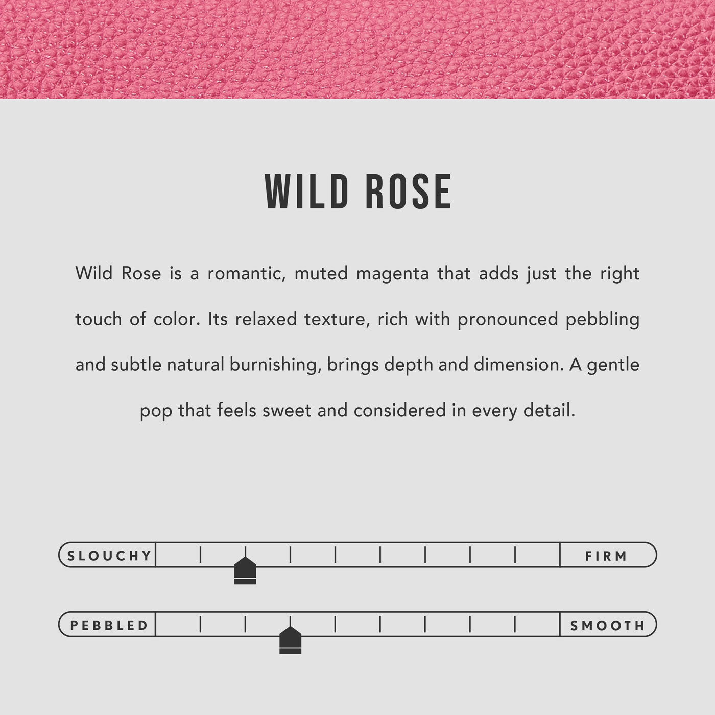 Wild Rose | infographic