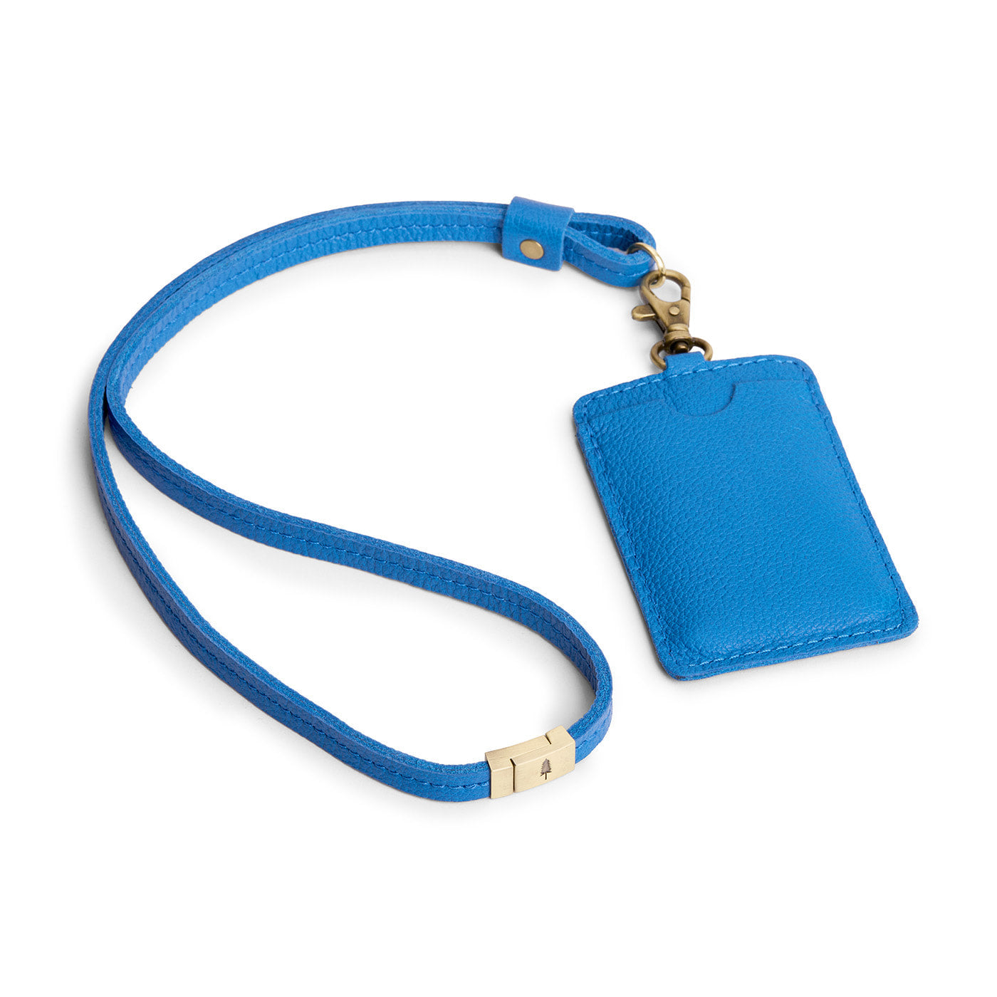 Skydive | A leather lanyard attached to a matching card holder on a white background